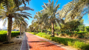 A Family Day Out: Best Parks In JVC