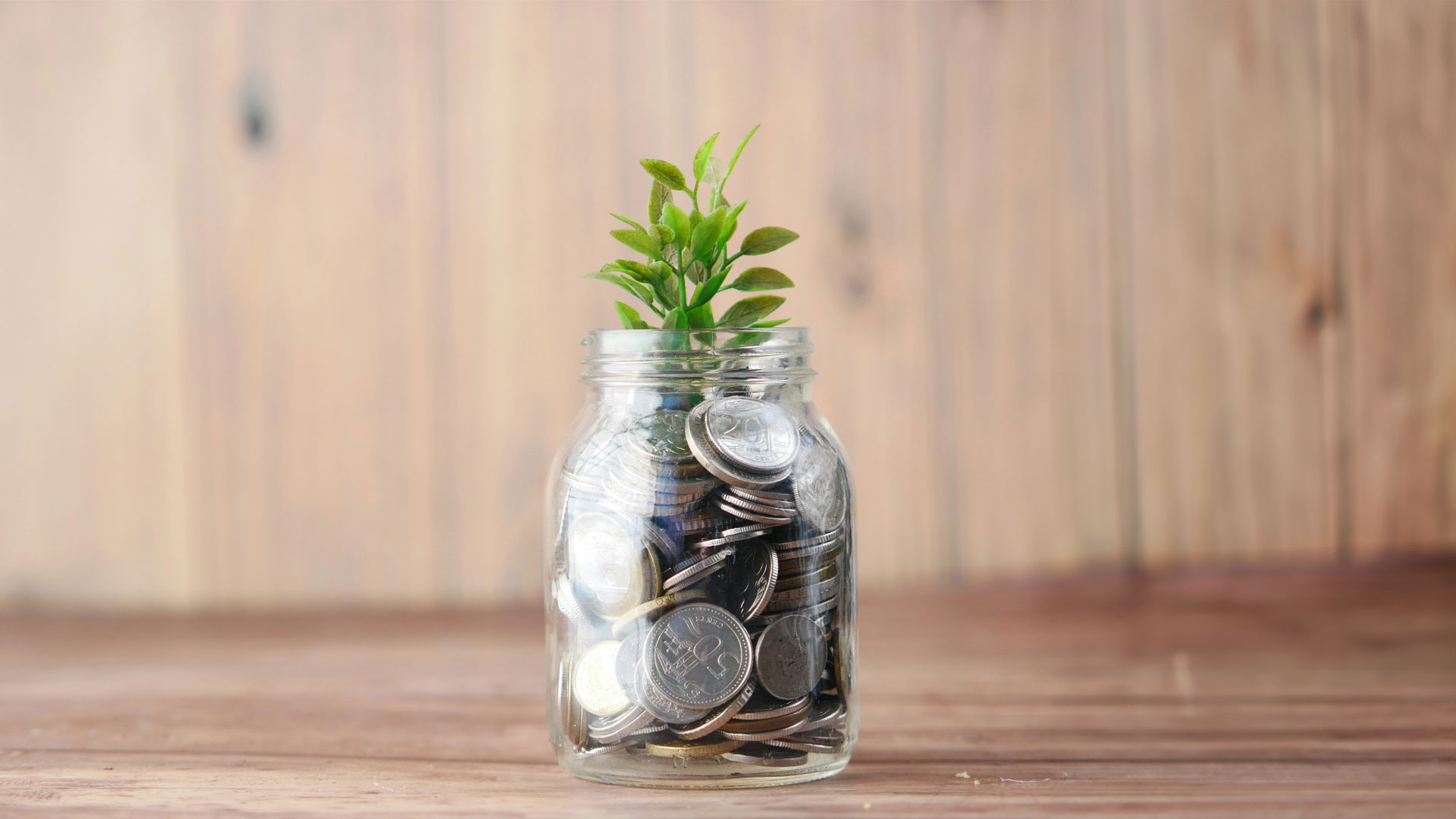 Stratégies d'investissement à long terme et à court terme 