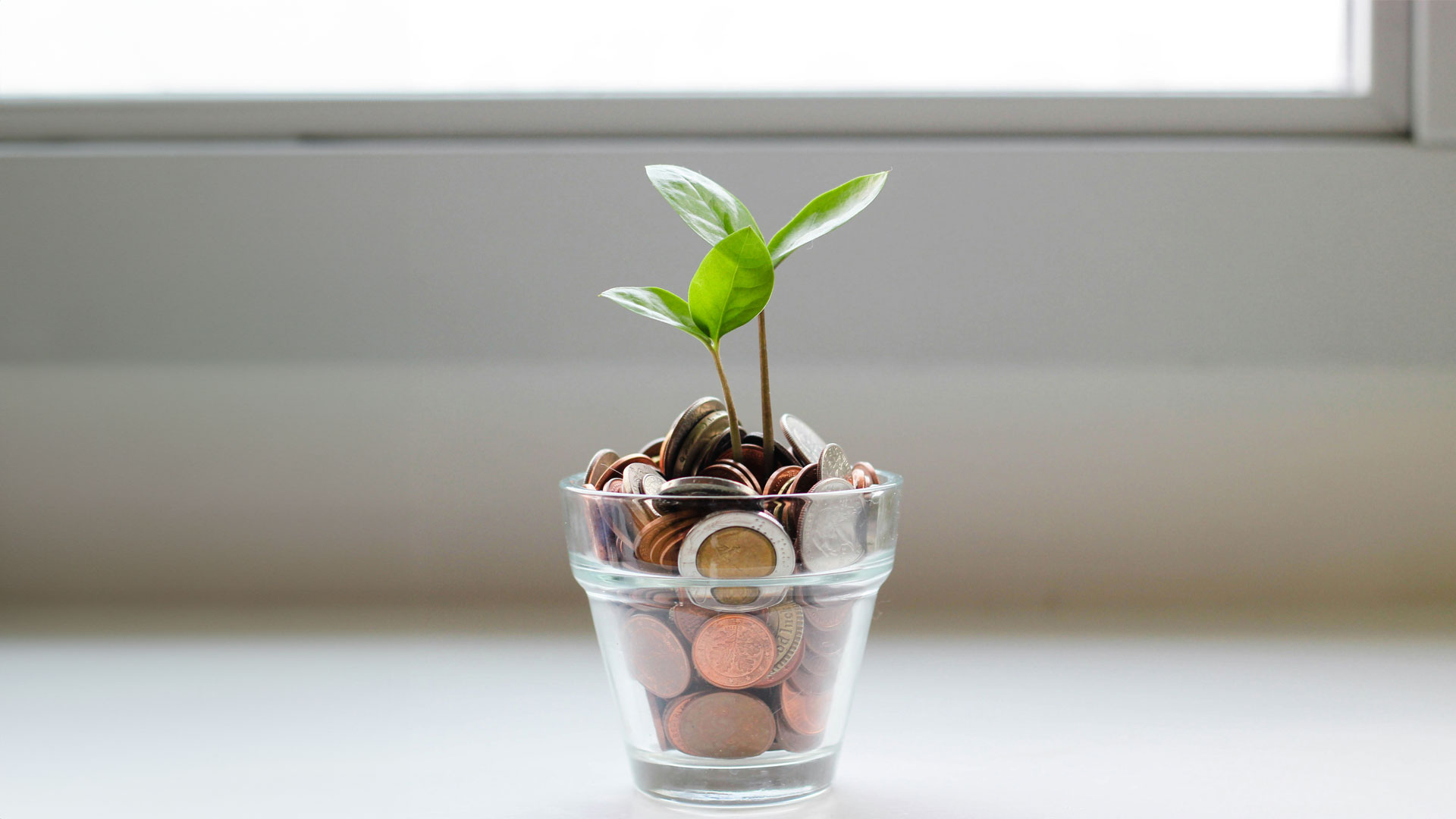 long term investment vs short term investment