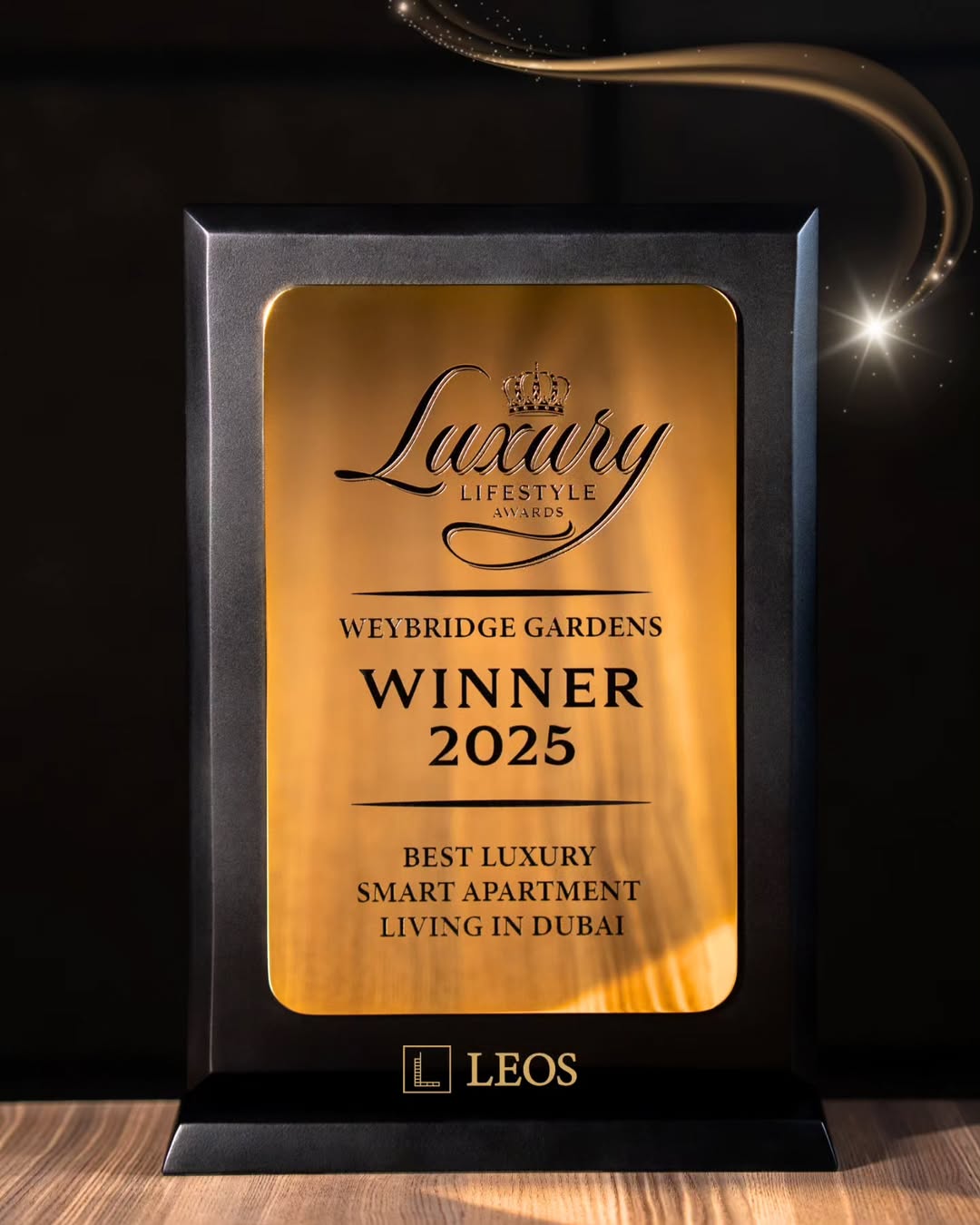 521303198_600505492780844_6466752399379464123_n